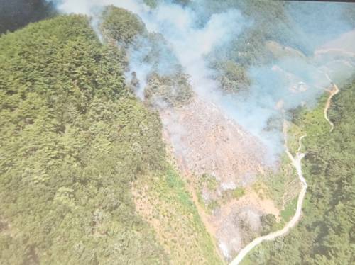 ◇25일 오전 11시54분께 강원도 삼척시 가곡면의 한 야산에서 불이 났다. 사진=산림청 제공