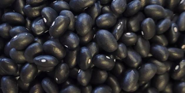 검은콩은 혈관과 간을 건강하게 해 당뇨를 막는 데도 도움이 된다. 사진은 검은콩. [사진=Western Harvest Bean]