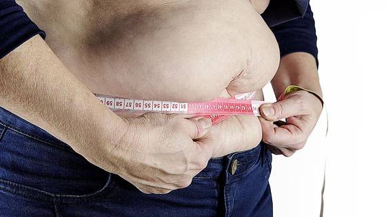 비만 이미지. 사진 픽사베이(Pixabay)