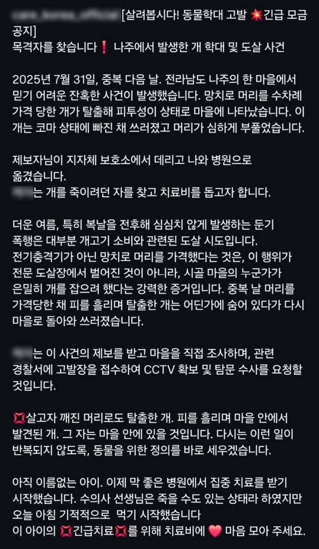 ▲ 나주 개 학대 주장 게시글 [동물권단체 SNS]