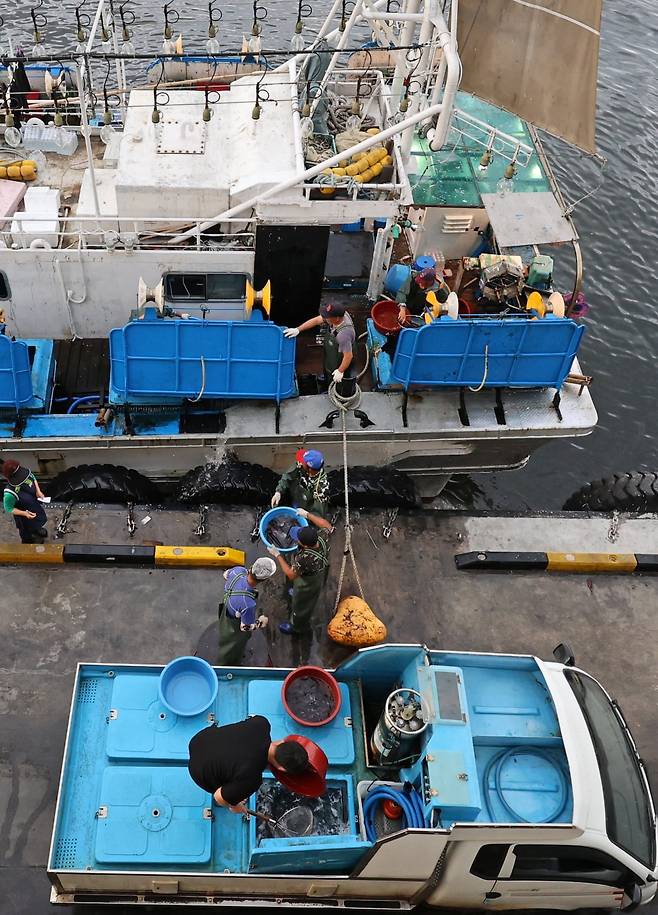 강원 강릉 주문진항에서 조업을 마친 어선의 모습. 연합뉴스