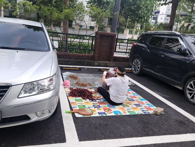 [사진 = 보배드림 갈무리]