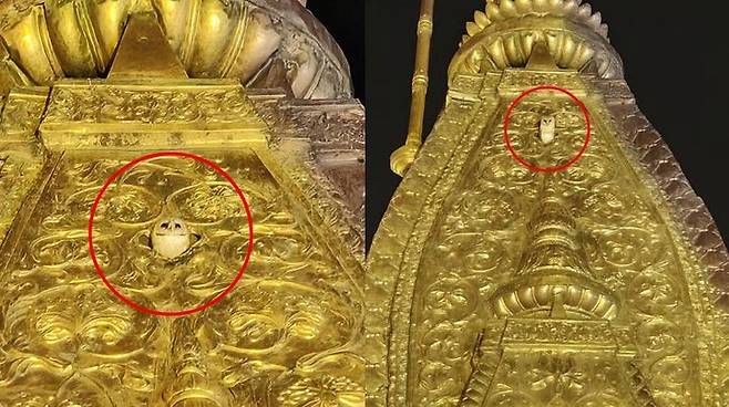 [뉴시스] 카시 비슈와나트 사원의 금빛 첨탑 위에 앉아 있는 흰 부엉이. 신도들은 이 장면을 여신 락슈미의 신성한 현신으로 받아들였다. (사진=엑스)