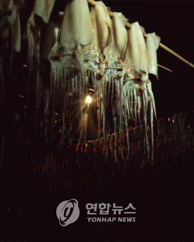 오징어 말리는 과정 [연합뉴스 자료사진]