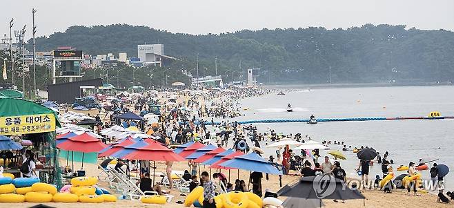 피서객 가득한 대천해수욕장 지난 9일 오후 충남 보령 대천해수욕장을 찾은 피서객들이 물놀이를 즐기는 모습 [보령시 제공. 재판매 및 DB 금지]
