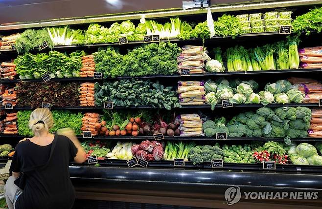 미국 플로리다주 슈퍼마켓의 채소 매대. [AFP=연합뉴스 자료사진. 재판매 및 DB금지]