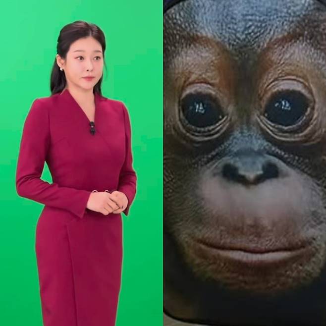 사진=현영 SNS