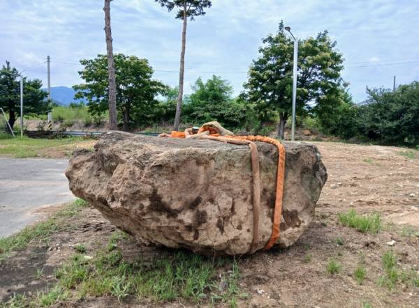 포항시 기계면 인비리 고인돌이 기계 새마을운동발상지 운동 장으로 옮겨져 있다.경북일보 독자 제공