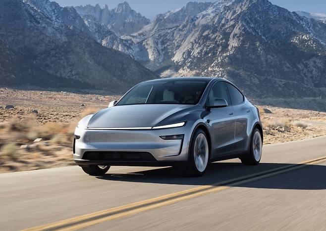 테슬라 모델 Y