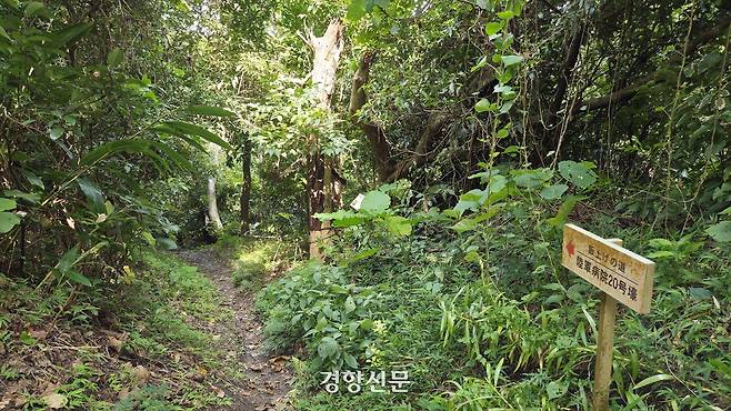 지난 7월14일 일본 오키나와 하에바루 육군병원 지하호로 가는 통로. 일제에 의해 동원된 여학도병은 이 길을 이용해 지하호로 식량을 날라야 했다. 김경민 기자