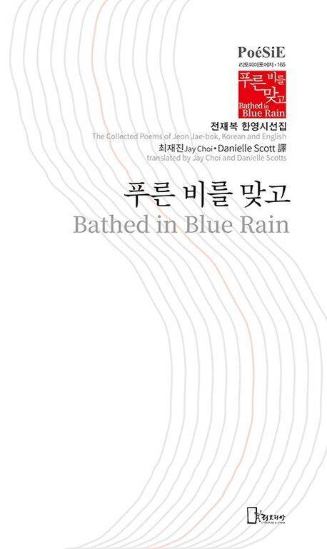 푸른 비를 맞고 표지/사진=교보문고