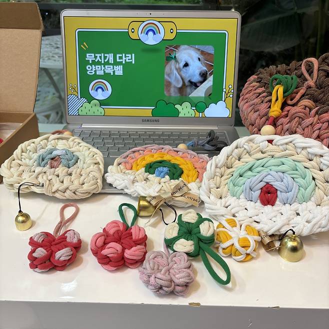 굿모닝펫동물병원은 양말목벨을 만들며 떠난 반려동물을 기리는 무지개클래스를 운영하고 있다(동물병원 제공). ⓒ 뉴스1
