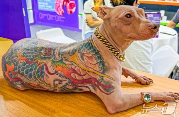 관련 시각물 - SCMP 갈무리