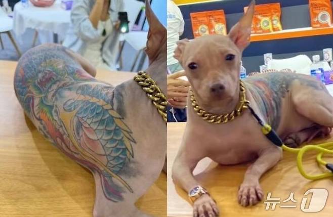 관련 시각물 - SCMP 갈무리