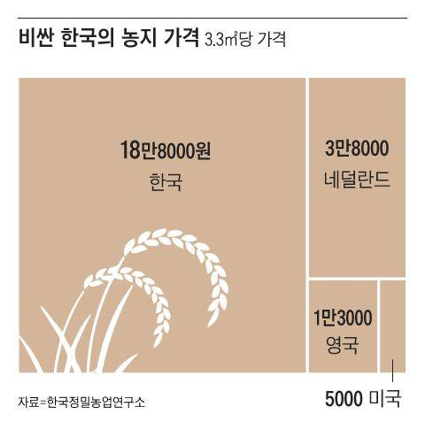 그래픽=김현국