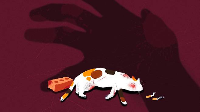 일러스트=조선디자인랩 김영재