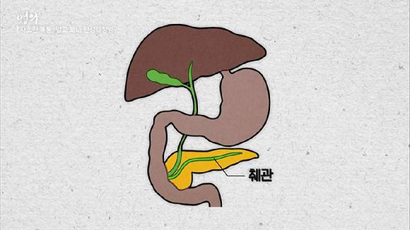 췌장은 소화 흡수를 돕고 혈당을 조절하는 역할을 한다. 물에 변이 둥둥 뜬다면 이 부위의 질환을 의심해야 한다. [사진=EBS]