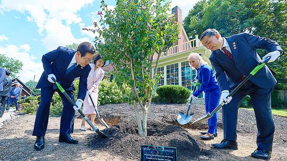 이재명 대통령과 김혜경 여사가 26일(현지시간) 미국 펜실베이니아주 필라델피아의 서재필 기념관을 방문해 광복 80주년을 맞아 기념식수로 대한민국을 상징하는 무궁화 나무를 심고 있다. 한국 대통령이 서재필 기념관을 방문한 것은 1999년 7월 고(故) 김대중 전 대통령 이후 26년 만이라고 대통령실은 밝혔다. 공동취재