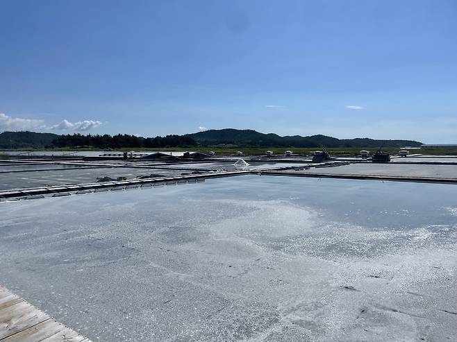 지난 21일 찾은 전남 신안군 증도 태평염전 전경. 염전이 끝없이 펼쳐져 있다.&nbsp;
