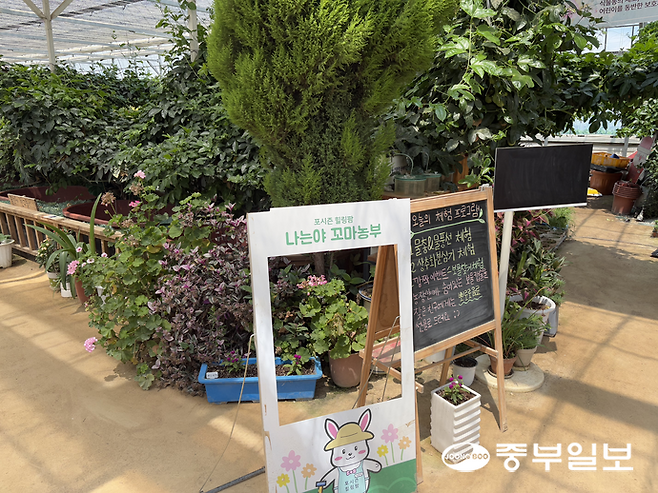 포시즌힐링팜의 오늘의 체험 프로그램. 최영재기자
