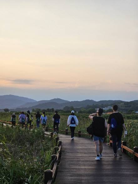 순천만습지. /순천시 제공