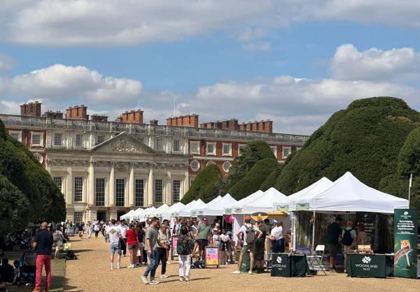 안동 음식과 문화 영국에서 세계인과 만나다