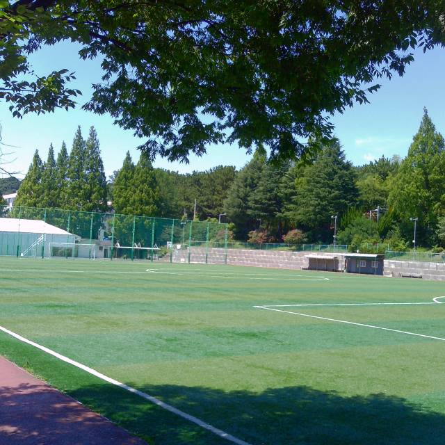 신수련씨가 빈티지 카메라를 이용해 촬영한 풍경./신수련씨 제공/