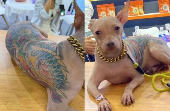 사진=중국 SNS Red Note 캡처