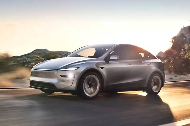 테슬라 모델 Y