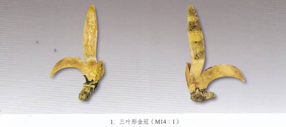 용두산 발해 황실 묘지에서 발굴된 금제 관장식이다. 식물 모양의 문양이 있어서 3개의 기다란 이파리를 표현한 것처럼 보이나, 전체적으로는 고구려 수도인 집안에서 출토한 새 날개 모양의 조우관(鳥羽冠)을 닮았다. 사진=『용두산 발해왕실묘지』(문물출판사, 2025)