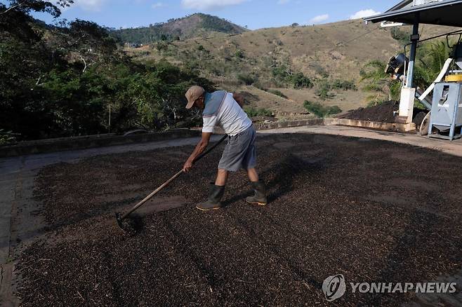 브라질 커피 농장의 농민 [AFP 연합뉴스 자료 사진. 재판매 및 DB 금지]