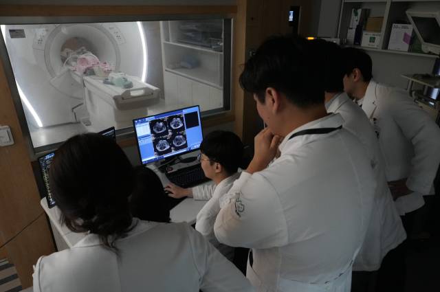 대구 범어동물의료센터 의료진들이 CT촬영을 지켜보고 있다. 범어동물의료센터 제공