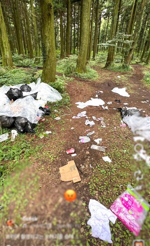 드라마 촬영 후 제주 숲에 남겨진 쓰레기들. (사진=인스타그램)