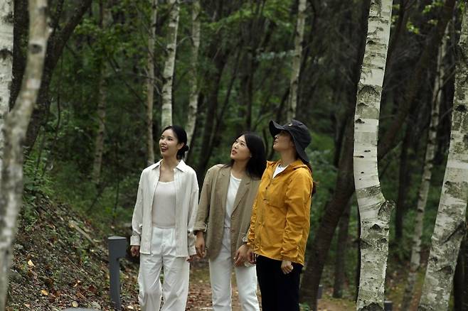 하이원리조트 '네이처 힐링존' 숲 이야기 산책 프로그램. 강원랜드 제공