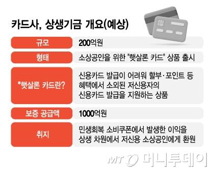 카드사, 상생기금 개요(예상)/그래픽=김지영