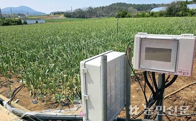 전남 신안군 압해읍의 한 마늘밭에 ‘스마트 물 관리 장치’가 설치돼 있다. 센서로 햇빛양·온도·강우량을 감지해 필요한 양의 물을 공급한다.