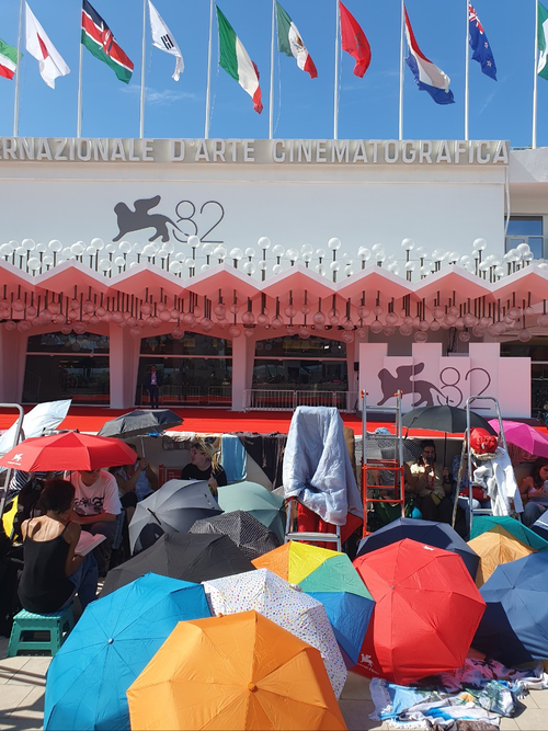 베니스영화제가 열리고 있는 리도섬 ‘팔라초 델 시네마’ 앞의 모습. 세계적인 스타들의 레드카펫 방문 현장을 ‘직관’하고자 뜨거운 햇빛을 피해 우산을 쓰고 기다리는 모습입니다. [김유태 기자]