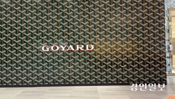 현대백화점 판교점 1층에 고야드 입점을 알리는 가벽이 세워져 있다. 2025.8.27 /윤혜경기자 hyegyung@kyeongin.com