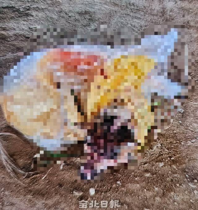 구조 당시 사진 /동물자유연대