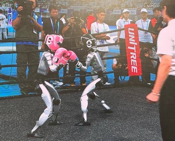 '세계 휴머노이드 로봇 운동회'가 열린 중국 베이징 국가스피드스케이팅홀 스크린에 로봇들의 킥복싱 경기가 중계되고 있다. / 연합뉴스