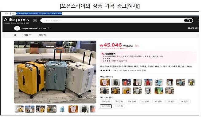 오션스카이의 상품 가격 광고(예시)/공정거래위원회