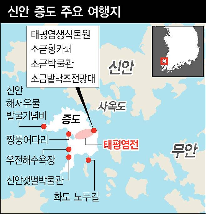 성기령 기자