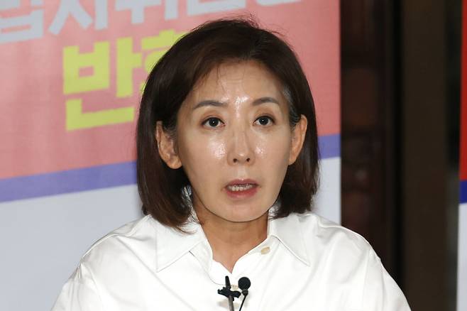 나경원 국민의힘 의원. 사진=뉴스1