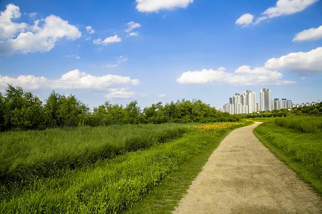 자연 속 아파트 전경 [사진출처=게티이미지뱅크]