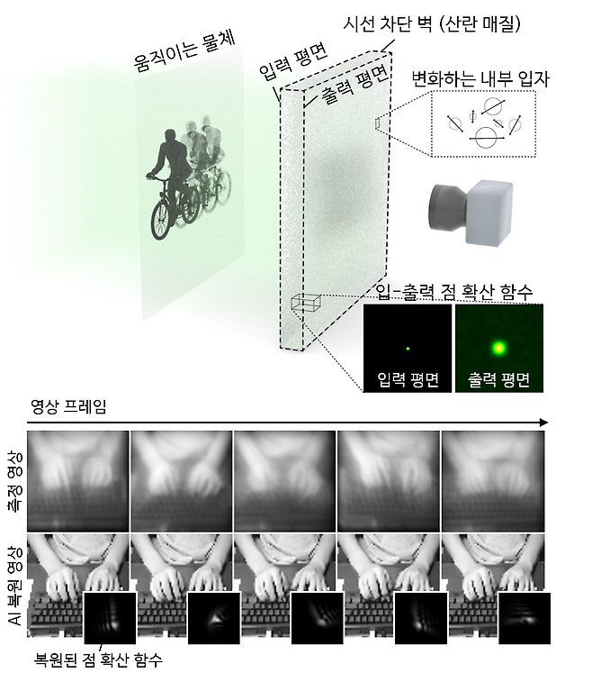 광학 측정 구성도 및 손상 영상 복원 결과.[KAIST 제공]