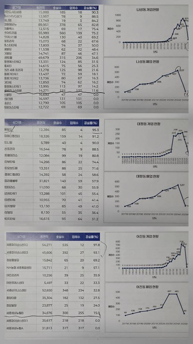 나성동-대평동-어진동의 주요 상업 건축물 공실 상황과 개·폐업 현황 추이. 공실 상황은 상상 그 이상이다. 사진=시의회 연구모임 제공.