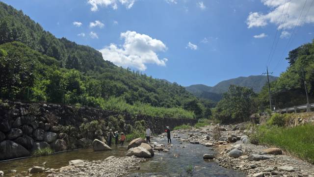한적한 계곡 모습. 지난해 대비 피서객이 절반 정도 줄어든 것으로 파악됐다. 김현우 기자