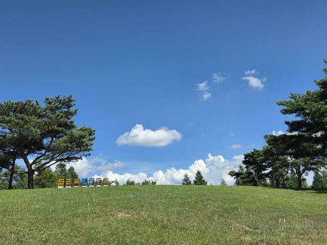 김유신 장군이 화랑들의 훈련장으로 활용했던 단석산 화랑의 언덕.