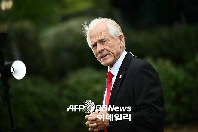 피터 나바로 백악관 무역 고문(사진=AFP)