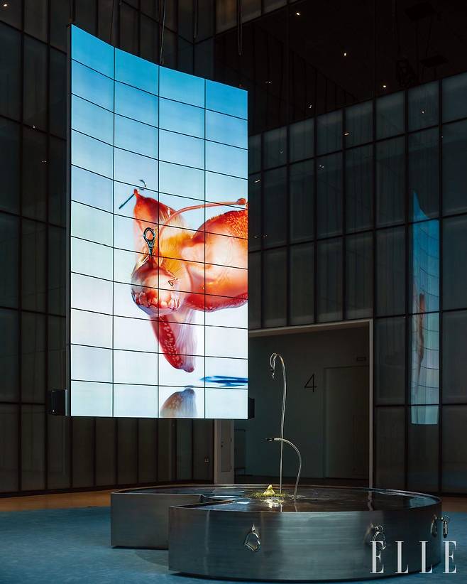국립현대미술관 서울박스에서 만나는 ‘2025년 MMCA x LG OLED’ 시리즈 〈아가몬 대백과: 외부 유출본〉